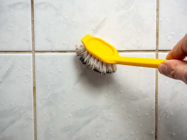 Attic Mold Removal in Dos Palos, CA