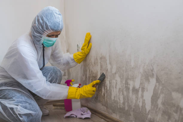 Best Residential Mold Removal  in Dos Palos, CA