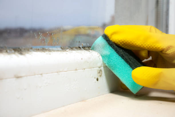 Best Mold Testing  in Dos Palos, CA