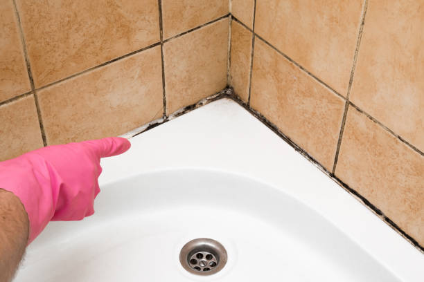 Best Emergency Mold Removal  in Dos Palos, CA